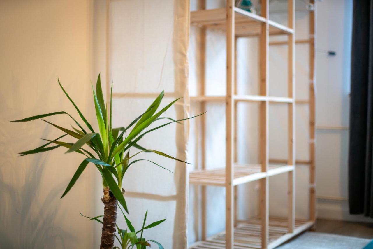 Free Living - Jungle Design Apartments, Zentrum, Parkplatz, Kueche, Wlan *